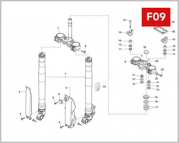 F09 - FRONT FORK ASSEMBLY