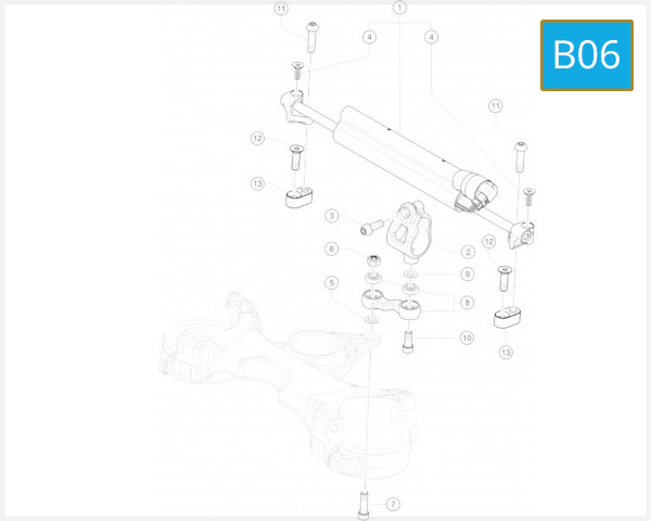 B06 - STEERING DAMPER