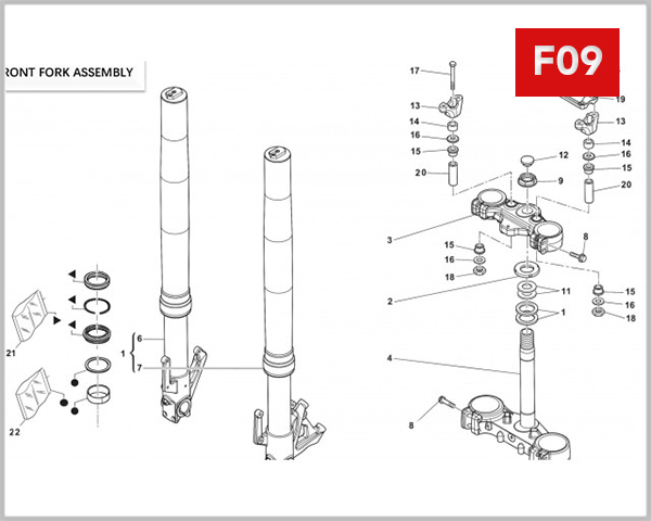 F09 - FRONT FORK ASSEMBLY
