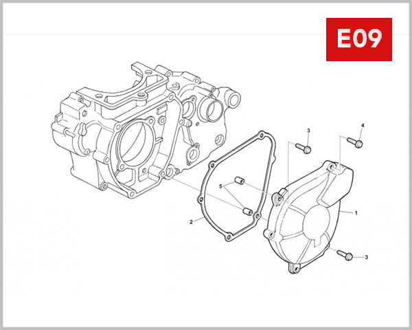 E09 - LEFT CRANKCASE COVER