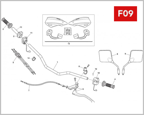 F09 - HANDLEBAR CONTROLS