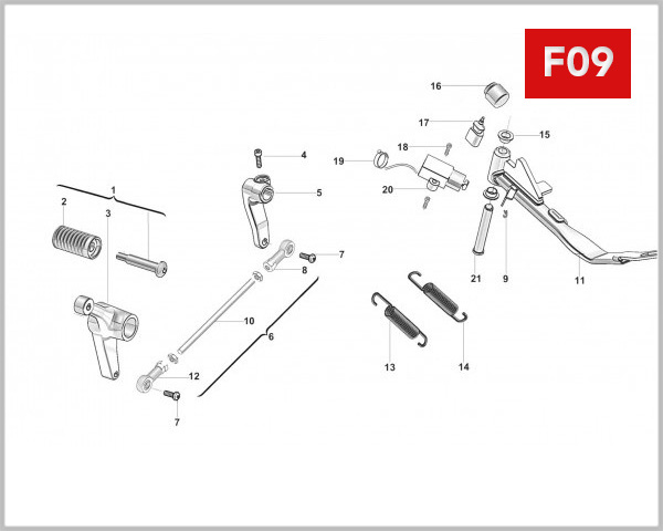 F09 - SHIFT LEVER & SIDE STAND