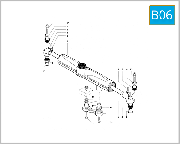 B06 - Steering Damper (F4 S - F4 FT - F4 R)