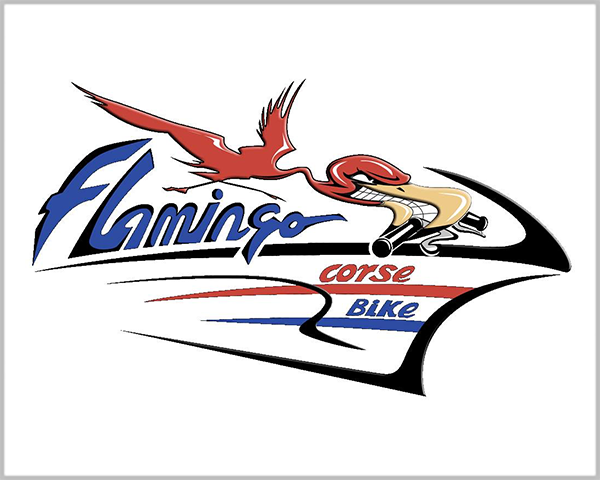 Flamingo Corse