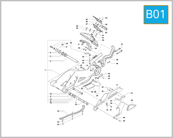 B01 - Swing Arm Assembly