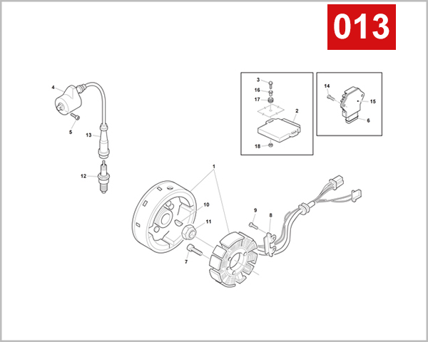 013 - IGNITION SYSTEM (RS 300R-RS 500R)