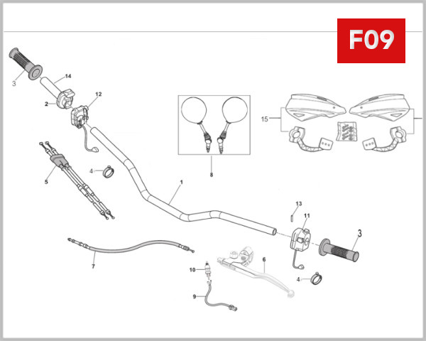 F09 - HANDLEBAR & SWITCHES