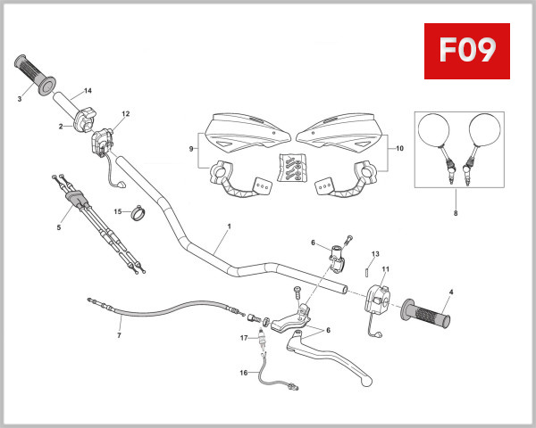 F09 - HANDLEBAR CONTROLS
